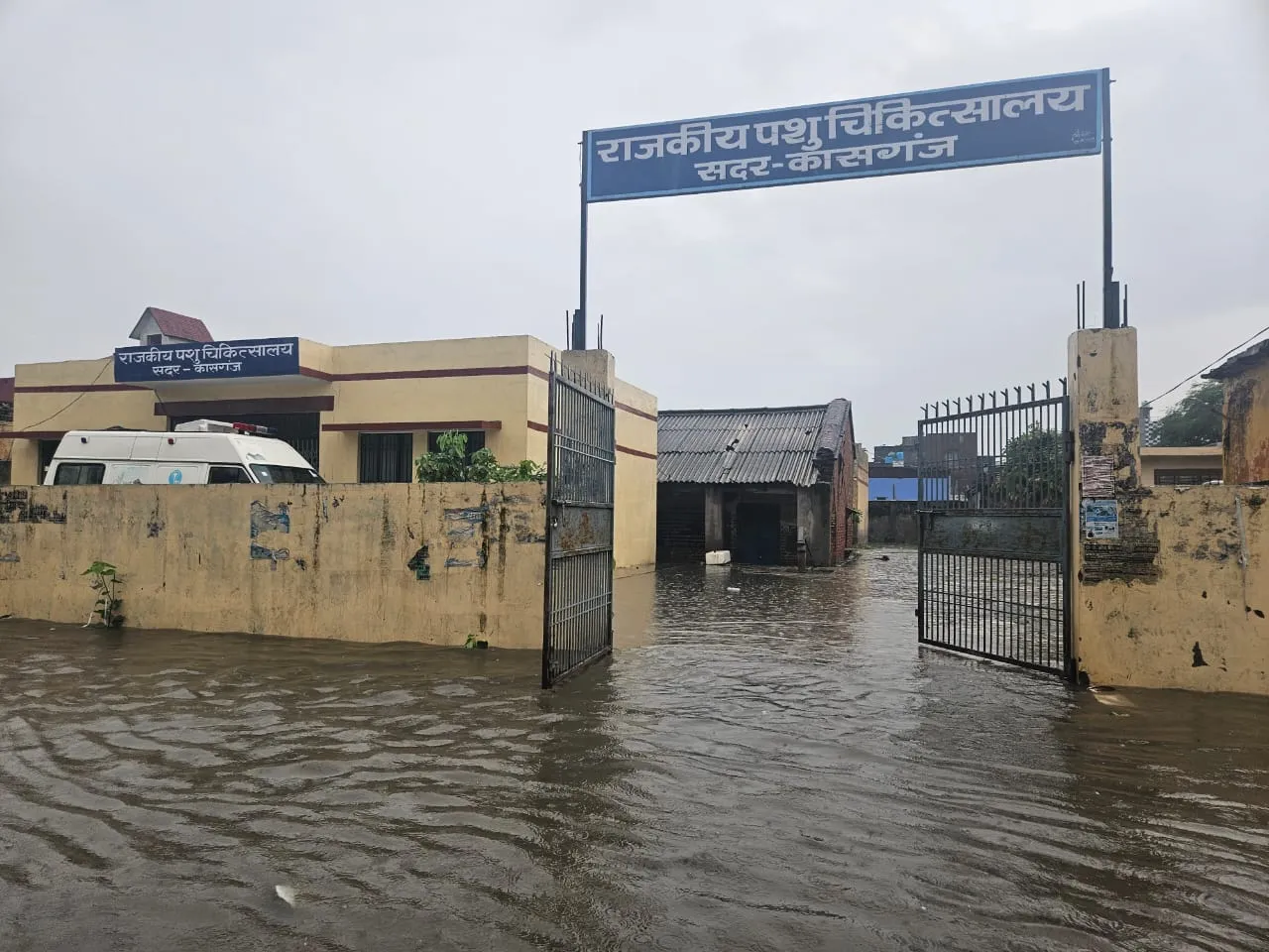 WhatsApp Image 2024-07-06 at 5.21.36 PM (1) 