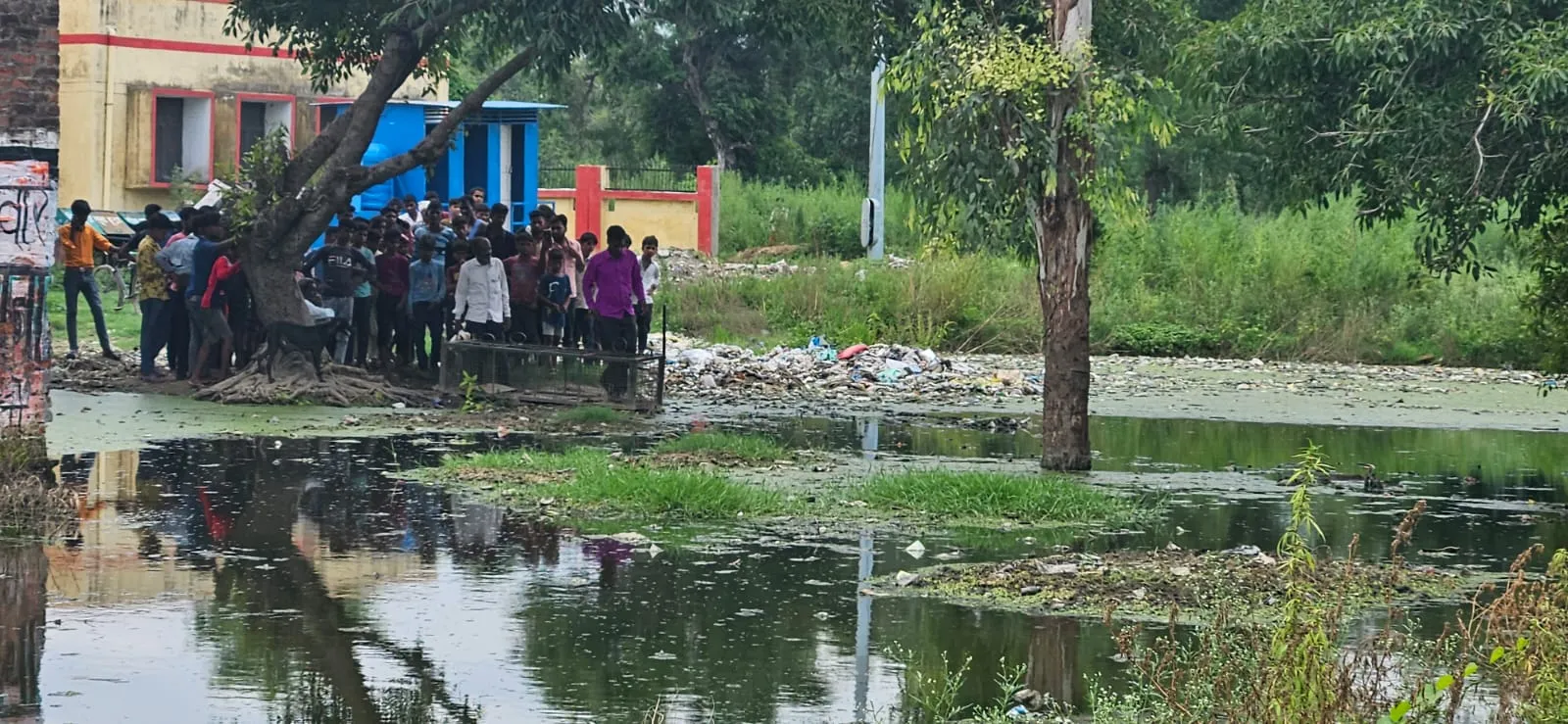शाहजहांपुर: तीन दिन से तालाब में दिख रहा मगरमच्छ...दहशत में लोग, पकड़ने के लिए लगाया गया पिंजरा
