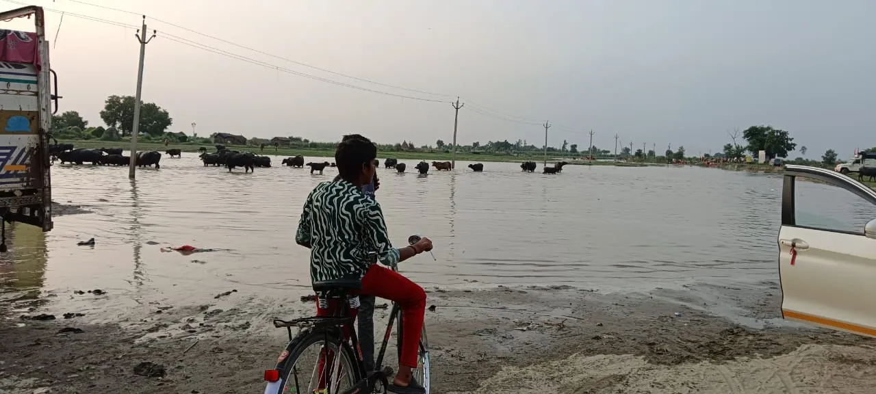 कासगंज: तेजी से उफनाई गंगा...गांव में आबादी के पास पहुंचा पानी, ग्रामीणों में मची खलबली