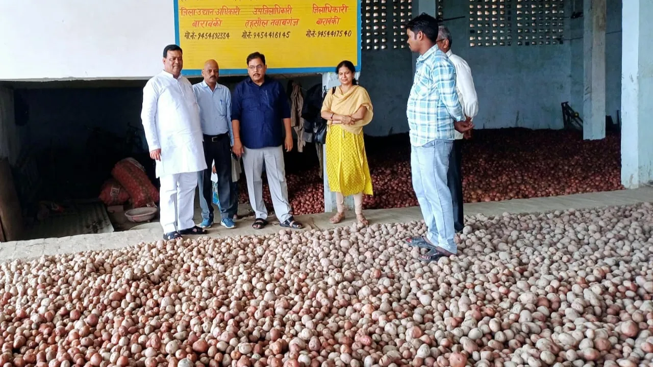 बाराबंकी : आलू का रेट अच्छा, नियमित निकासी करते रहें किसान