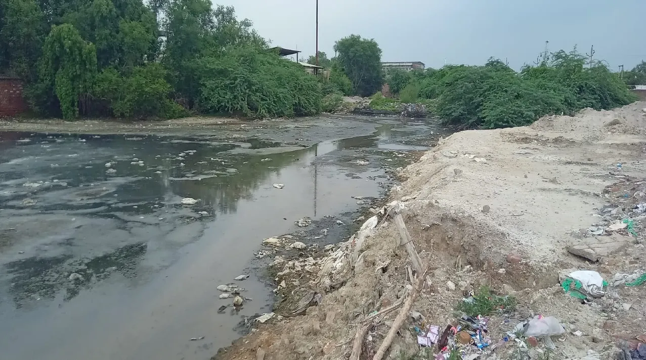 Unnao News: मानकों को दरकिनार कर बूचड़खानों में हो रही मवेशियों की स्लाटरिंग...हवा-पानी से हो रहा खिलवाड़