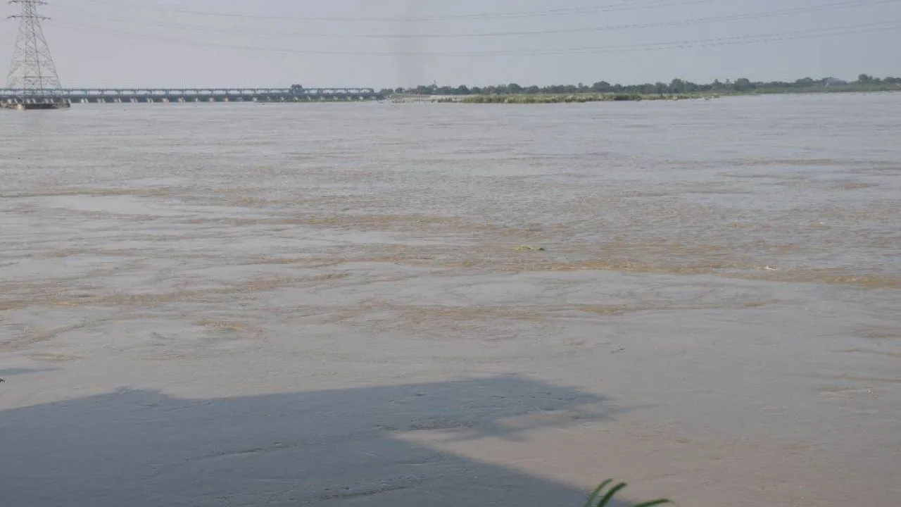 Kanpur: बारिश से बढ़ने लगा गंगा का जलस्तर, प्रशासन ने तेज की तैयारियां, 54 गांवों की होगी किलेबंदी, बनेंगी 35 बाढ़ चौकियां 