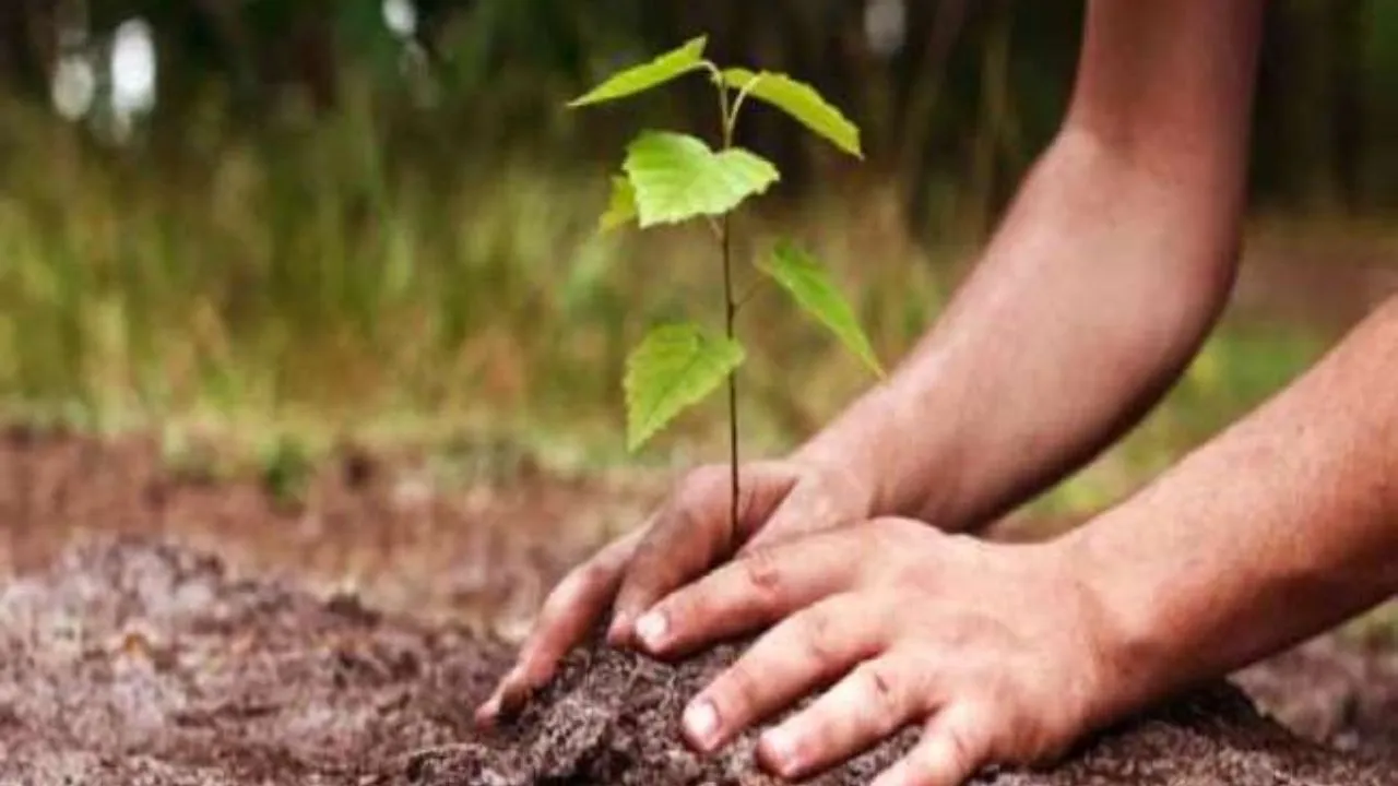 कानपुर मंडल में इस दिन चलेगा पौधरोपण अभियान...लगाए जाएंगे इतने करोड़ पौधे...संख्या जानकर रह जाएंगे हैरान