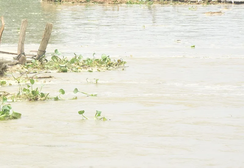 मुरादाबाद : 193 गांवों में मंडराया बाढ़ का खतरा, 35 बाढ़ चौकियां बनी