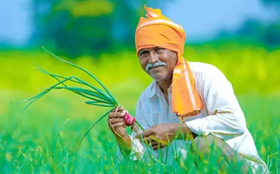 बरेली: अब हर किसान को करानी होगी फार्मर रजिस्ट्री, दिसंबर से रजिस्ट्रेशन वाले किसानों को ही मिलेगा योजनाओं का लाभ