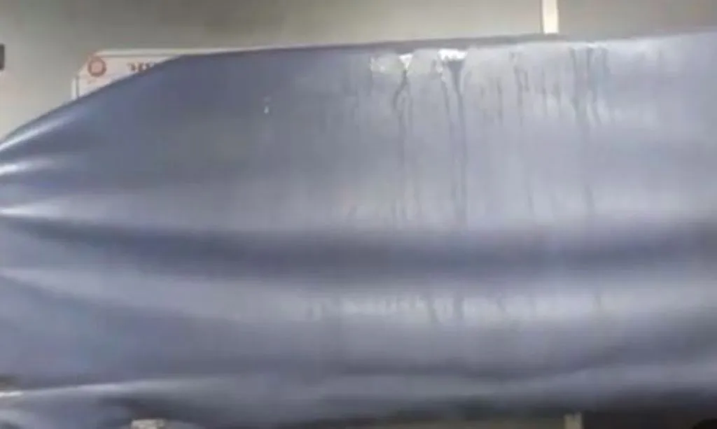 Bareilly News: बाहर बारिश, ट्रेनों के अंदर टिप-टिप...यात्रियों ने एक्स के जरिए की रेलवे से शिकायत