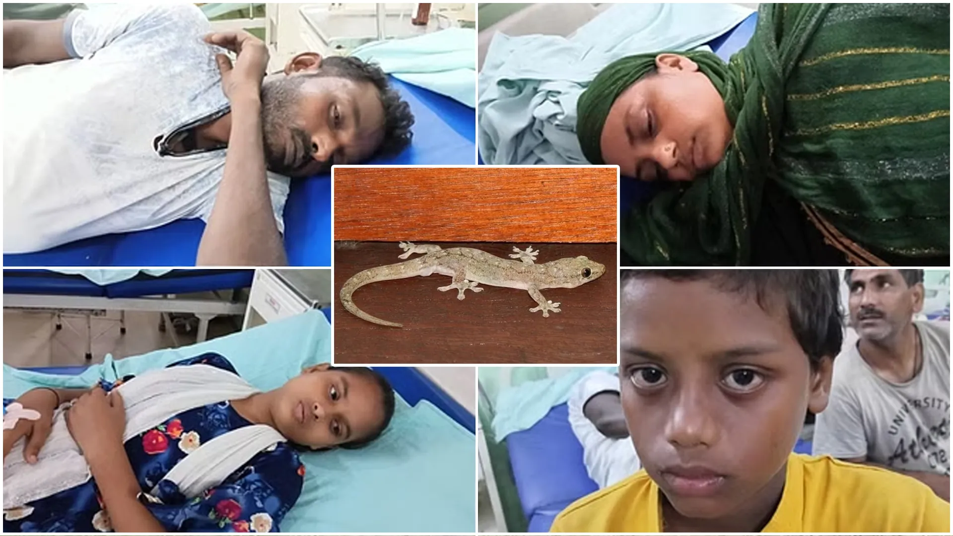 बरेली : सब्जी में गिरकर पकी छिपकली, चार लोगों की हालत बिगड़ी