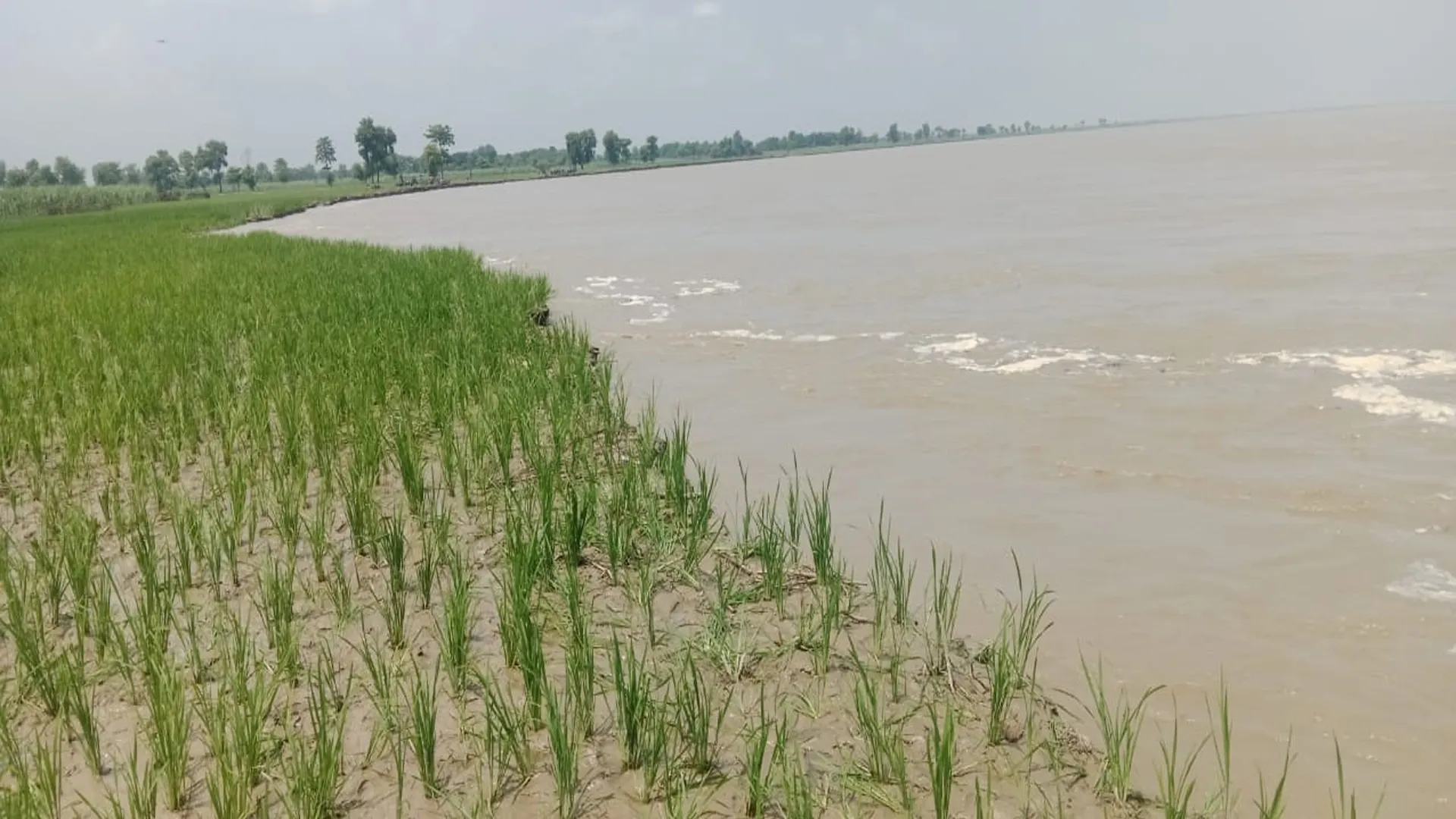 लखीमपुर खीरी : घाघरा की विनाश लीला जारी, 12 से अधिक गांवों पर मंडरा रहे संकट के बादल