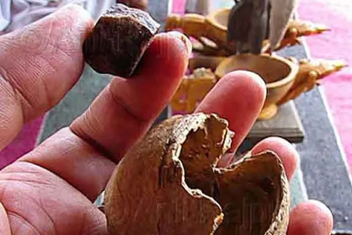 बरेली:जाट रेजिमेंट सेंटर में तैनात फौजी ही कर रहा था अफीम की तस्करी