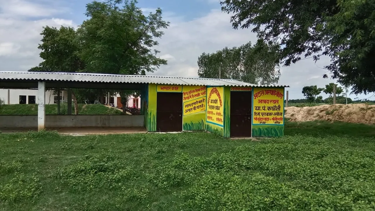 अयोध्या: अटल गौशाला में न पशु न कर्मचारी, छुट्टा जानवरों से किसान परेशान