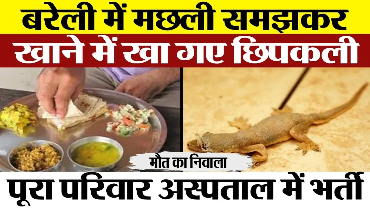 Bareilly News। बरेली में मछली समझकर खाने में खा गए छिपकली, पूरा परिवार अस्पताल में भर्ती,