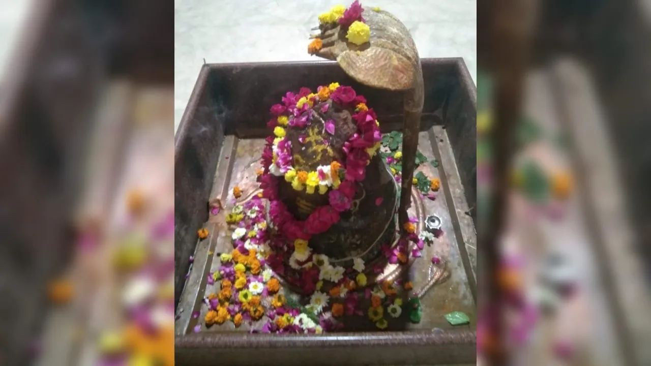 Unnao: सावन में भक्तों की आस्था का केंद्र बना देवारा का वीरभद्रेश्वर मंदिर, सावन के सोमवार में देर रात तक लगता श्रद्धालुओं का तांता