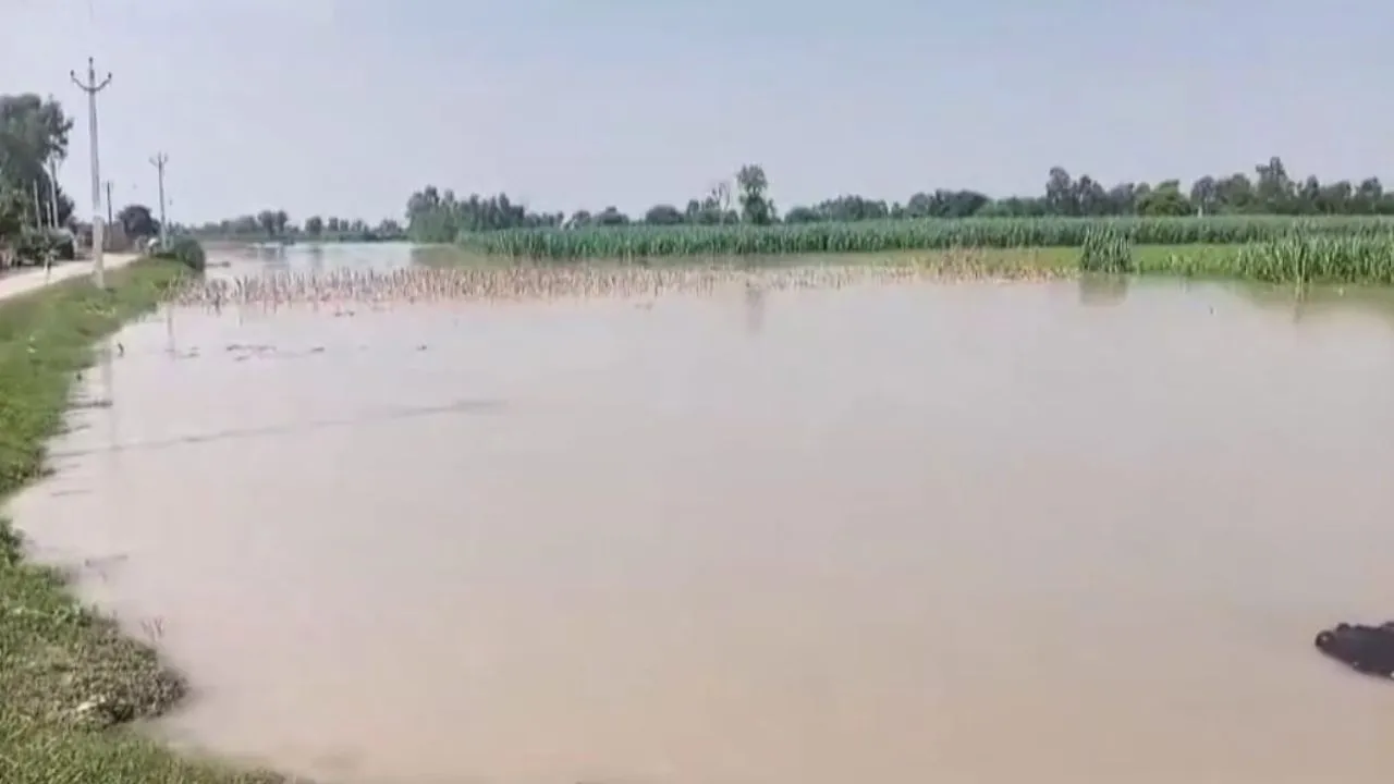 Farrukhabad News: गंगा नदी का जलस्तर हुआ कम...लोग बोले- बाढ़ का पानी भरा होने से उत्पन्न होती बीमारियां