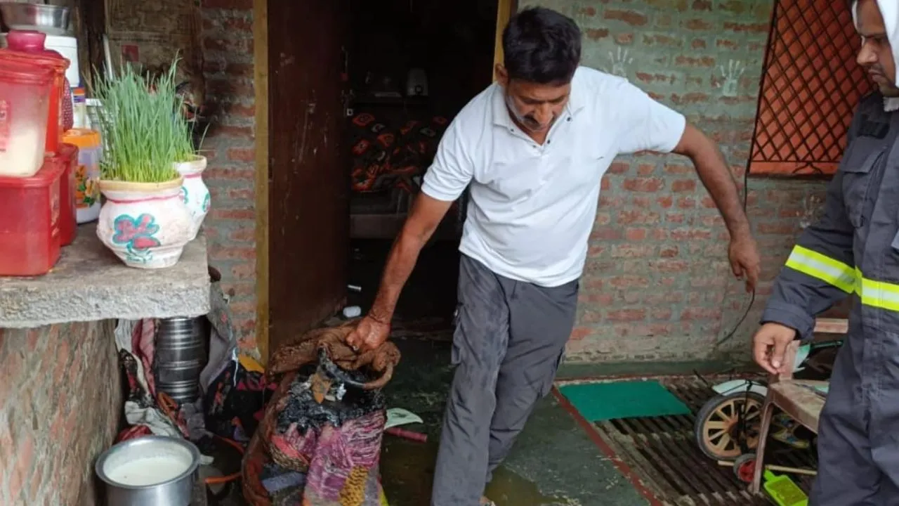 Auraiya Fire: खाना बनाते समय सिलेंडर में लगी आग...महिला झुलसी, CHC में चल रहा इलाज