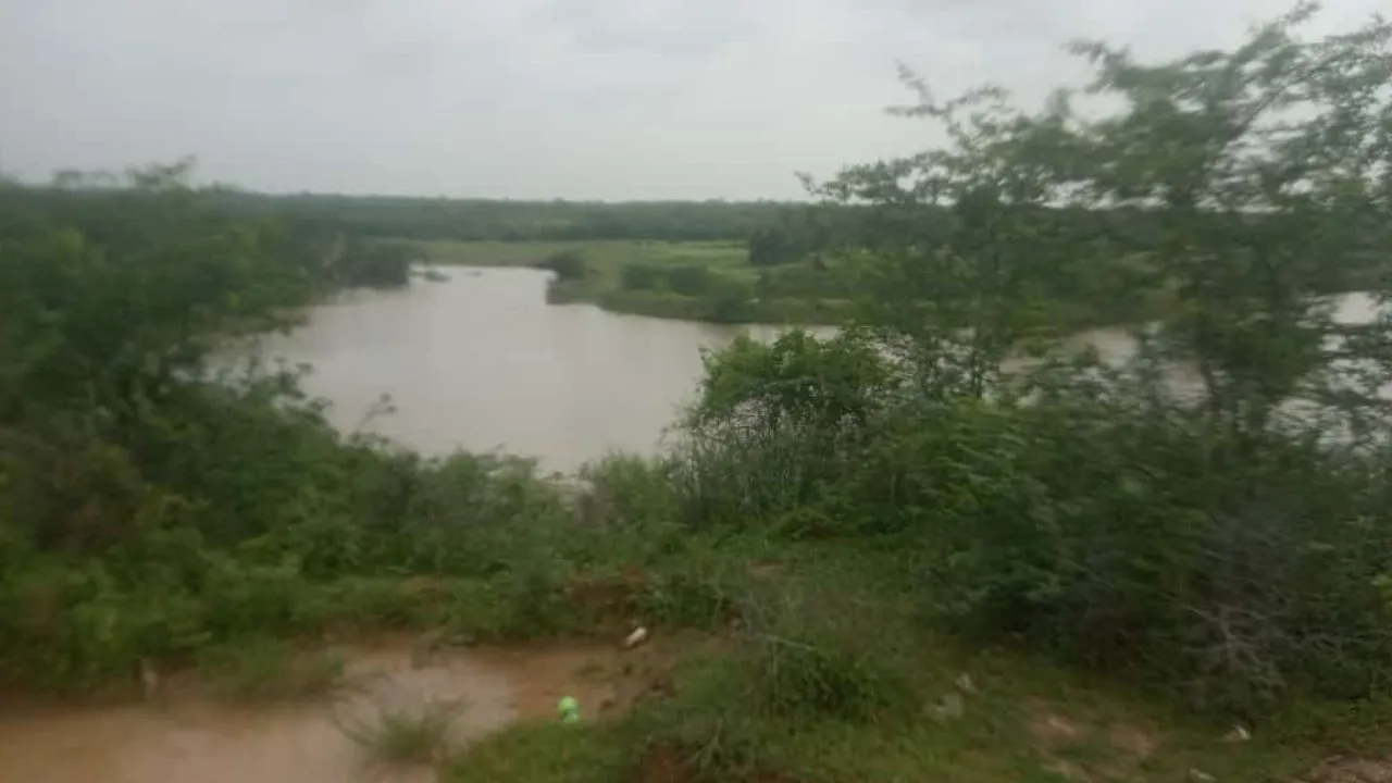 Hamirpur News: बेतवा और यमुना नदियों का तेजी से बढ़ रहा जलस्तर...चंबल बांध से छोड़ा गया पानी