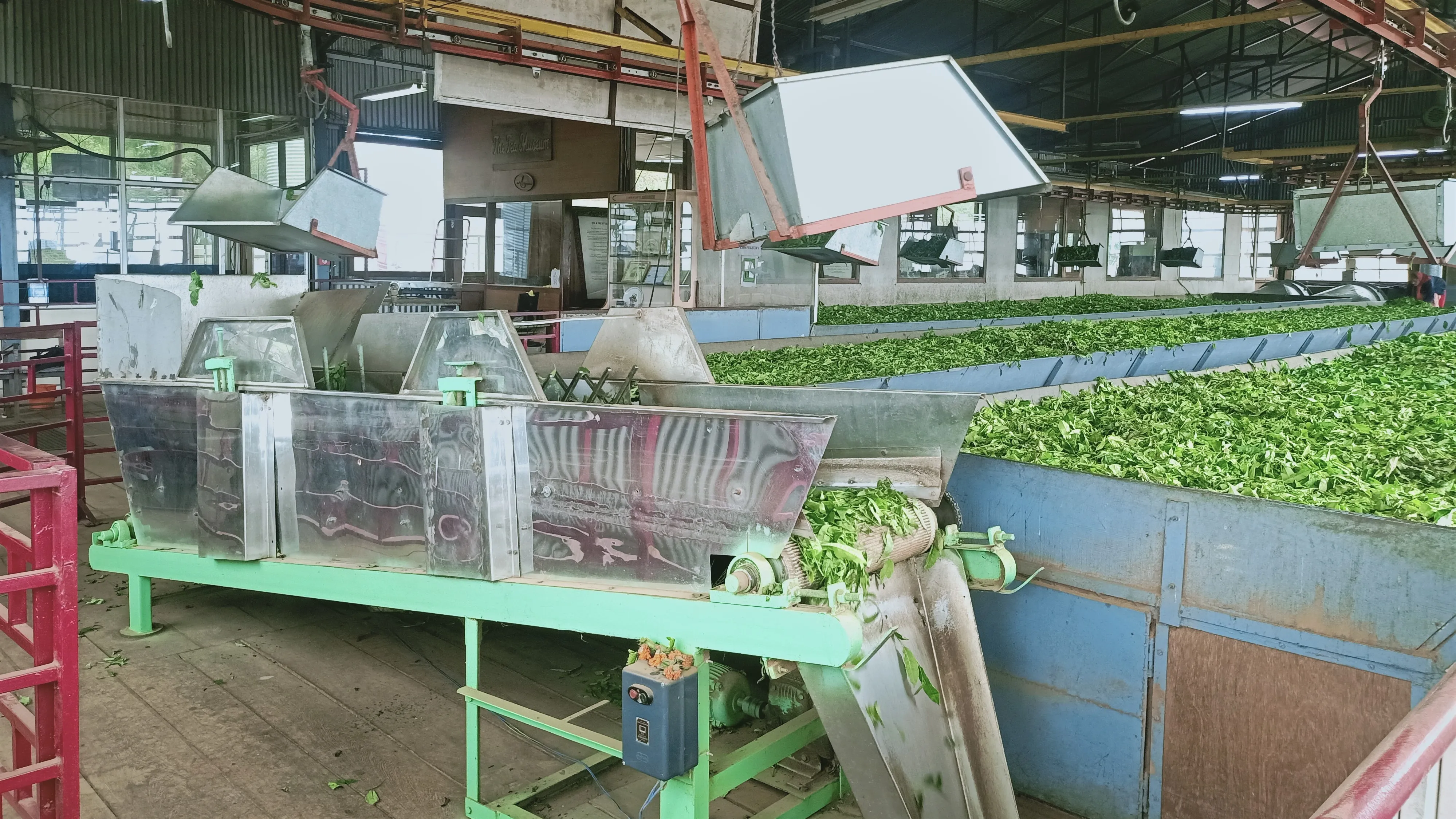 गरमपानी: बेतालघाट में चाय फैक्ट्री की उम्मीदों को लगे पंख