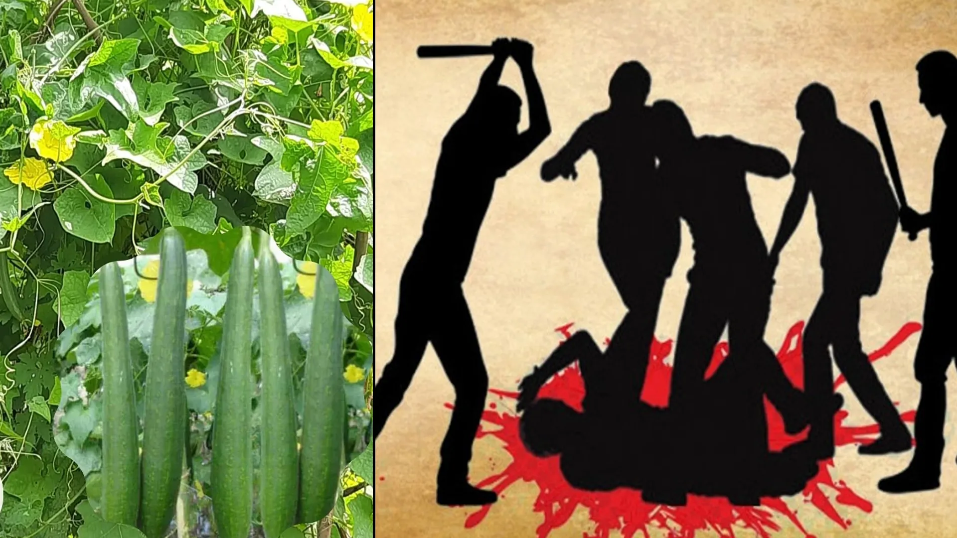 लखीमपुर खीरी : तोरई तोड़ने के विवाद में युवक की पीटकर हत्या, परिजनों ने किया हंगामा 