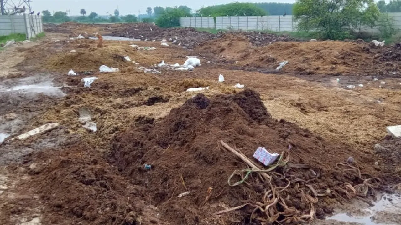Unnao News: आबोहवा दूषित कर लोगों की जिंदगी से खेल रहे स्लाटर हाउस संचालक...गावों में अनेक प्रकार की  फैल रही बीमारियां