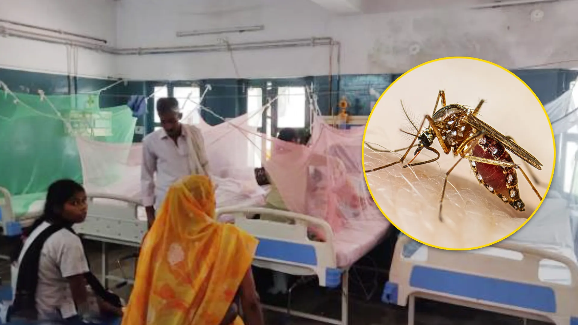 बरेली : करोड़ों का खर्च... फिर भी मच्छरों पर काबू पाने की कोशिश नाकाम