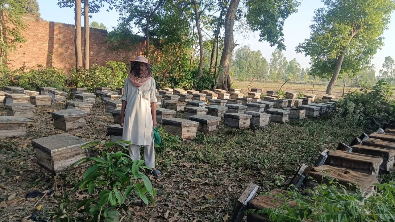 पीलीभीत: शहद उत्पादन में कदीर ने पाया मुकाम 13 हजार से शुरू किया काम...  अब सालाना कमा रहे 10 लाख 
