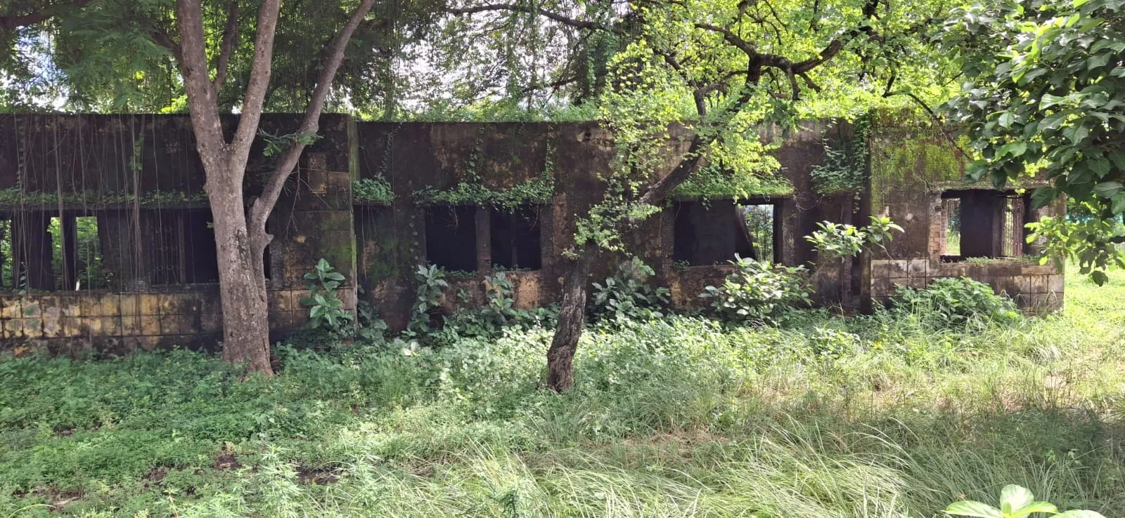 WhatsApp Image 2024-08-18 at 16.13.59_e08ad6d4