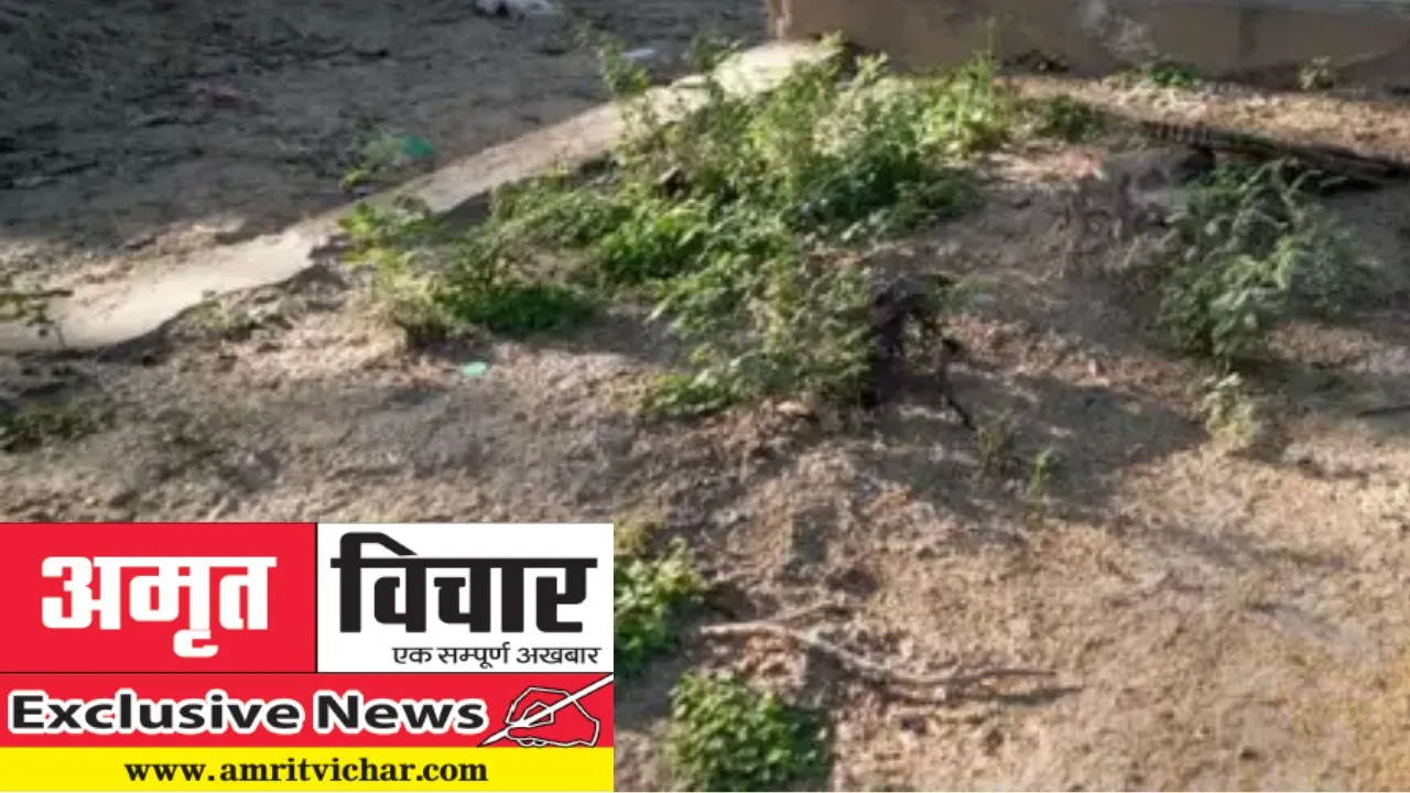 Exclusive: वक्फ की जायदादों पर अपने ही करा रहे कब्जे, आजम अली करबला समेत कई कब्रिस्तान अवैध कब्जों में हुए गुम