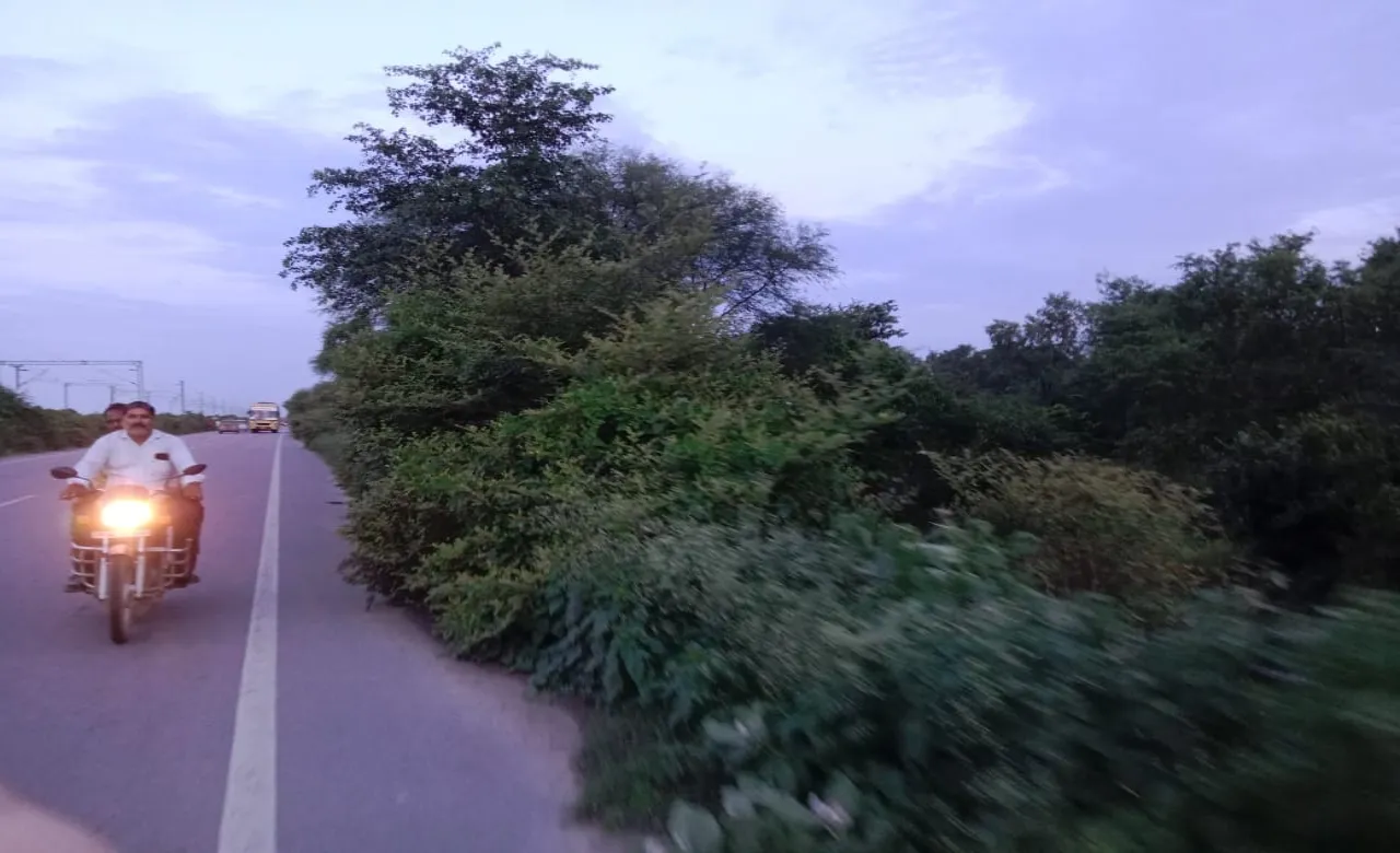 बाराबंकी : हादसे का सबब बनी हाईवे के दोनों ओर फैली झाड़ियां 