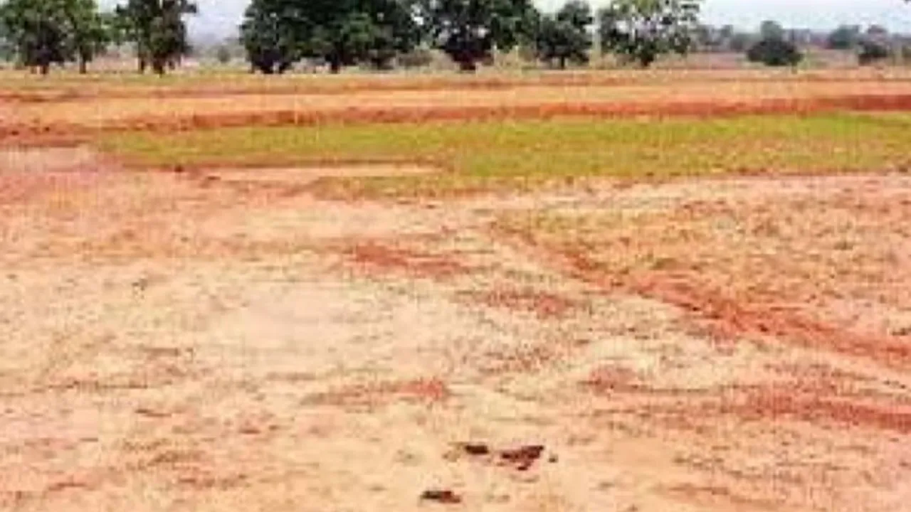 Kanpur: नजूल की 1465 जमीनों के खंगाले जा रहे दस्तावेज; फ्री होल्ड, पट्टा सीमा व लीज रेंट समेत सभी बिंदुओं पर पड़ताल चालू 