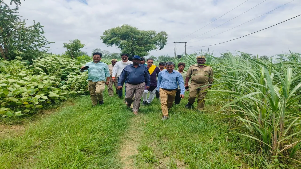 वन्यजीव का हमला : पिता के साथ सो रहे बेटे को उठा ले गया भेड़िया 