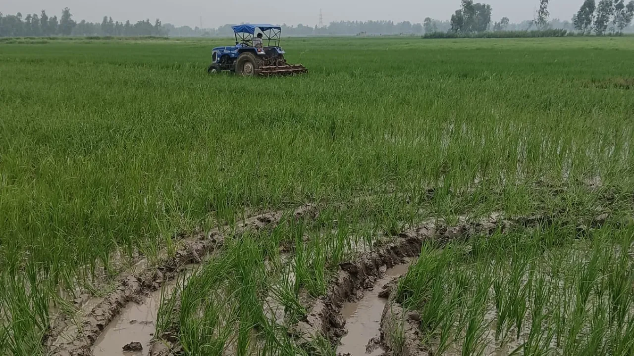 बाराबंकीः धान की फसल नष्ट कराकर मुक्त कराई तालाब की जमीन, 60 बीघे परती भूमि पर अभी भी कब्जा