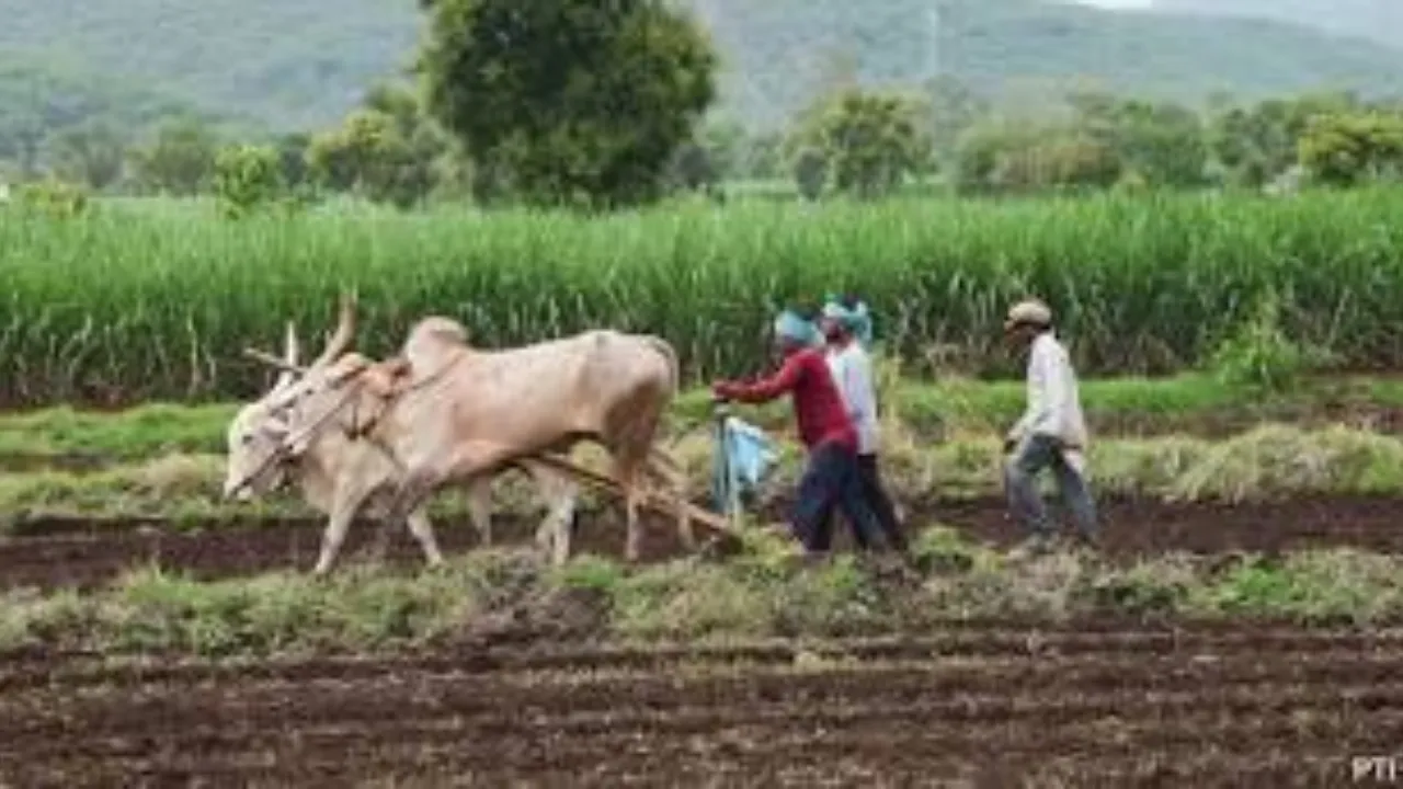 क्या लैंड सर्वे में बेघर हो जाएंगे बिहार के लोग? समझे हर नियम