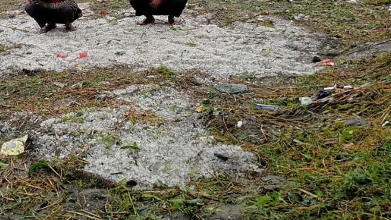 हमीरपुर में ओलावृष्टि से तबाह 750 किसानों के मुरझाए चेहरे: खातों में मिलने वाली धनराशि महाराजगंज व गोरखपुर भेजी, जानें- पूरा मामला