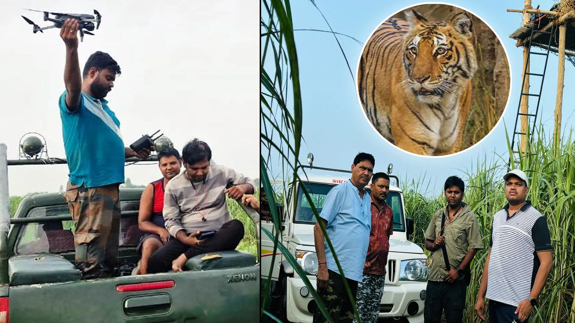 लखीमपुर खीरी: बाघ के आतंक से निपटने को अब थर्मल ड्रोन कैमरों से होगी कांबिंग