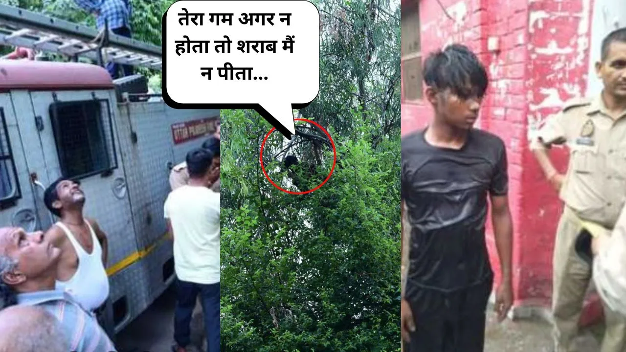 प्यार में मिला धोखा...शराब पीकर पेड़ पर चढ़ा प्रेमी, उतारने के लिए बुलानी पड़ी फायर ब्रिगेड