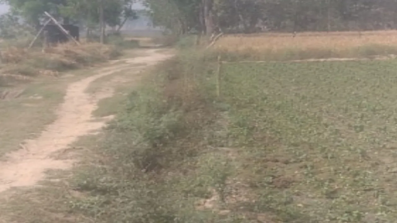 वर्षों पुराने नालों का मिटा निशान, कैसे पहुंचे खेतों को पानी :सिंचाई के लिये तरस रहे किसानों के खेत, जिम्मेदार मौन