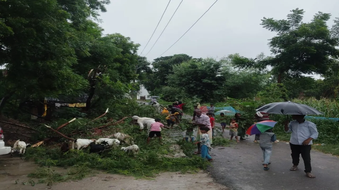  तूफानी बारिश व हवा से बिजली व्यवस्था ध्वस्त, शहर से लेकर गांव तक की बिजली गुल 