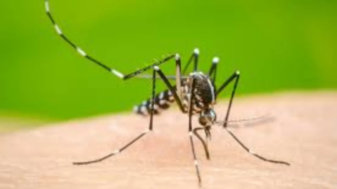 लखनऊः घर-घर जाएंगे सफाई निरीक्षक, आज से शुरू अभियान, डेंगू के प्रति करेंगे जागरूक