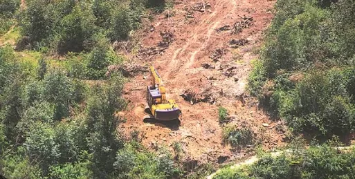 देहरादून: पेयजल, बिजली और सड़क परियोजनाओं के लिए वन भूमि हस्तांतरण की अनुमति