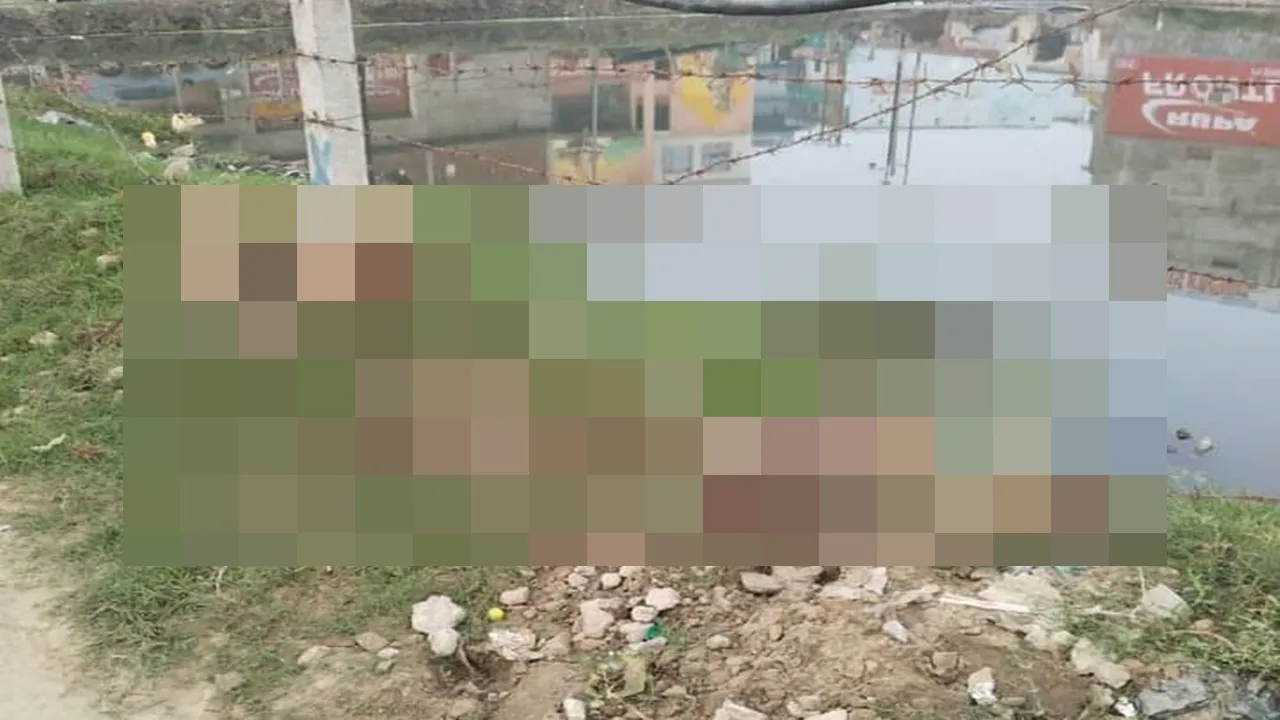 अयोध्या में दर्दनाक हादसा: करंट की चपेट में आने से 5 बंदरों की मौत 