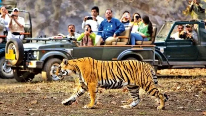 हल्द्वानी: टाइगर देखने के लिए अब लोगों के पास होगा एक और ऑप्शन, अगले महीने से खुल सकता है नया जोन