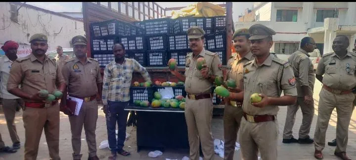 WhatsApp Image 2024-10-27 at 13.09.45_f1c1368d