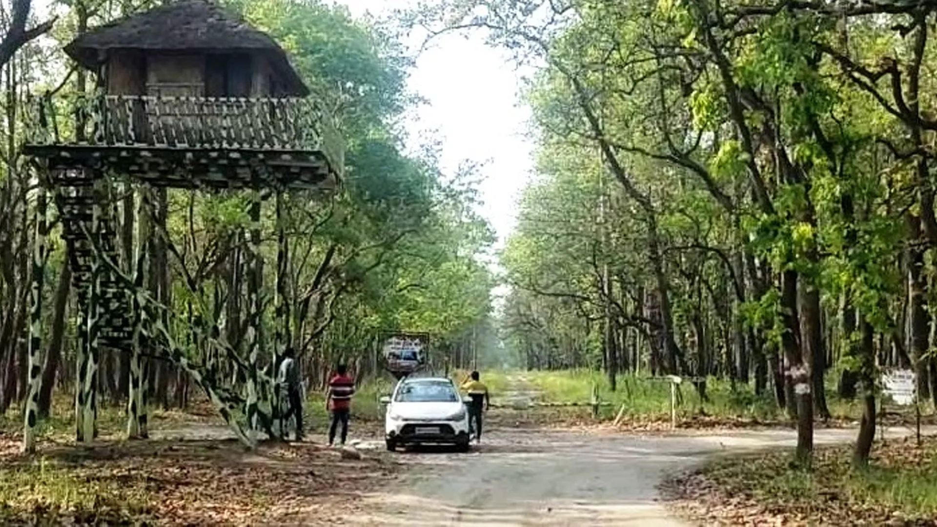 पीलीभीत: चूका बीच में नहीं घुस सकेंगे प्राइवेट वाहन, हट बुक कराने के साथ करानी होगी सफारी की भी बुकिंग