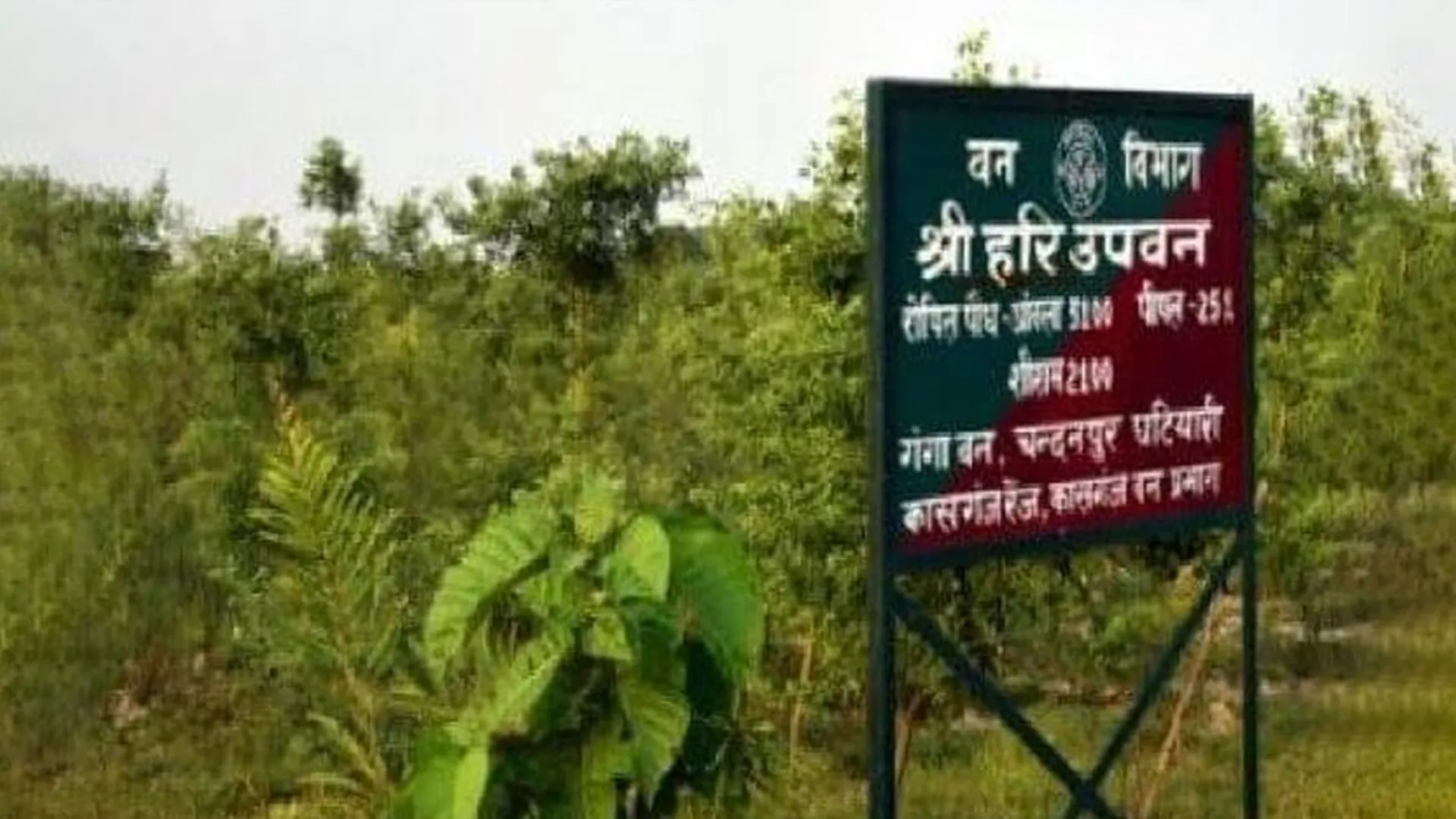 कासगंज: व्यवस्था लाचार, जंगलों की जमीन पर नहीं वन विभाग का अधिकार