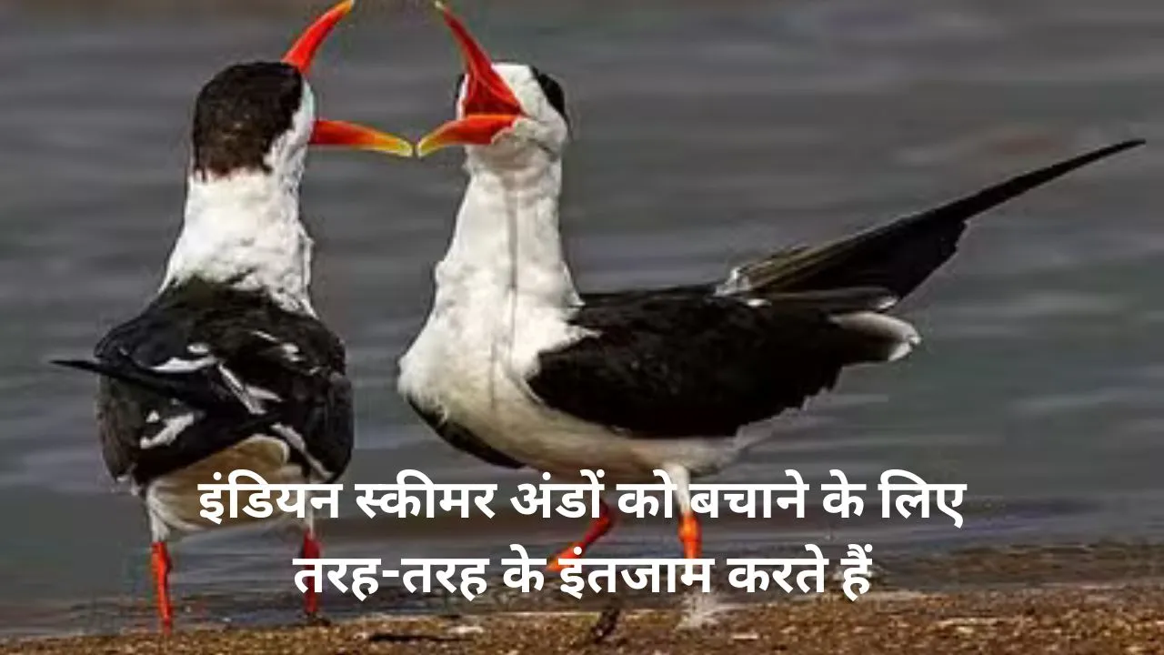 Brown and White Minimalist Varanasi Travel  YouTube Thumbnail (18)