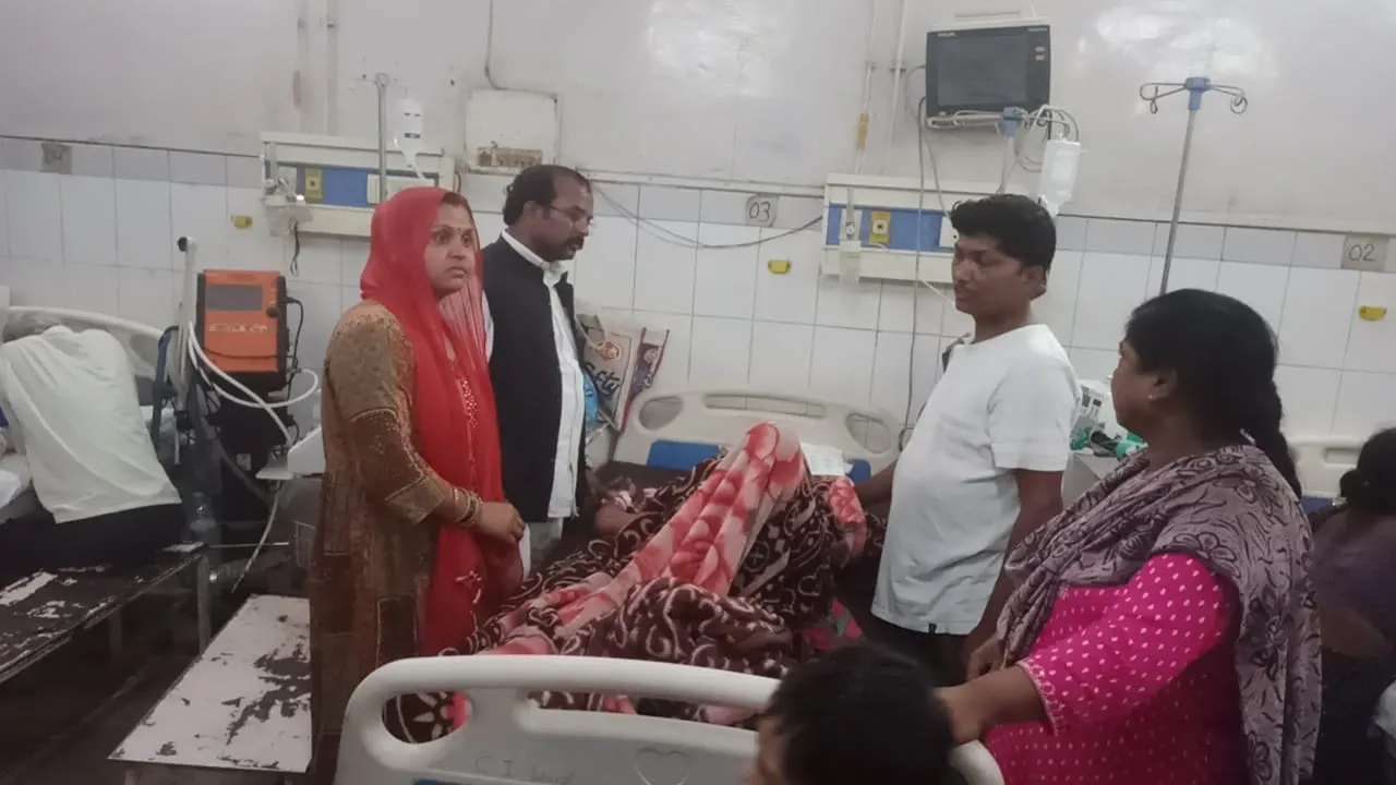 बहराइच: खेत में काम कर रहे लोगों पर मधुमक्खियों ने किया हमला, महिला समेत दो घायल