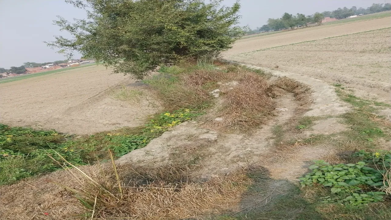 बाराबंकी: कागजों पर चल रहे मनरेगा कार्य, धड़ल्ले से जारी हो रहे मस्टर रोल