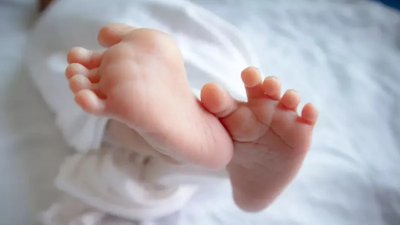 संभल : नवजात बच्ची को खेत में दबाया, रोने की आवाज सुन इकठ्ठा हुए ग्रामीण...जानिए फिर क्या हुआ?
