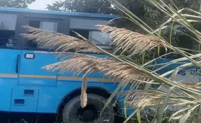 रामनगर: चालक को पड़ा दौरा, यात्रियों की जान बचाने के लिए पेड़ से बस को टकराया