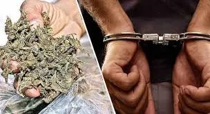 रुद्रपुर: 37.100 किग्रा गांजे के साथ तस्कर गिरफ्तार, एएनटीएफ-पंतनगर पुलिस ने की कार्रवाई