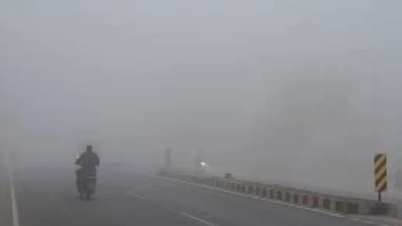 कोहरे का कहरः नोएडा में घने कोहरे के कारण तीन वाहन आपस में टकराए, 17 लोग घायल